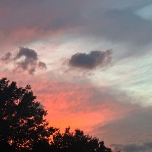 Meet your Posher, Kelley